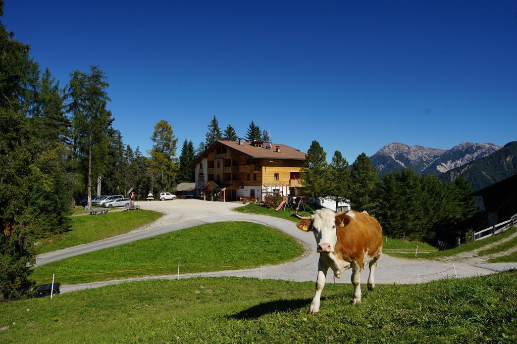 Chalet Frapes San Martino in Badia Exterior foto
