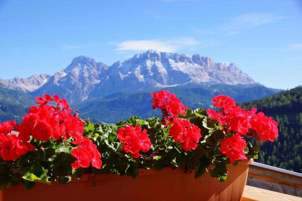 Chalet Frapes San Martino in Badia Exterior foto